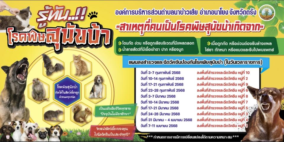 ��˹�Ἱŧ���Ǩ��Щմ�Ѥ�չ��ͧ�ѹ�ä����عѢ��� 68