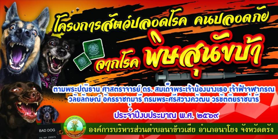 óç���ͧ�ѹ��ФǺ����ä����عѢ��� ��Шӻ� 2569 ������ç����ѵ���ʹ�ä ����ʹ��� �ҡ�ä����عѢ���